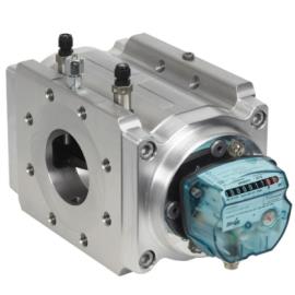 Delta Rotary Gas Meter